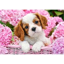 Castorland 500 Parça Pup in Pink Flowers Puzzle