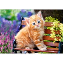 Castorland 500 Parça Puzzle Ginger Kitten