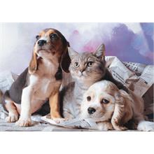 Puzz 1000 Parça Kedi Köpek Kardeşliği Yapboz