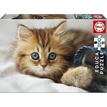 Educa 200 Parça Kitten Puzzle