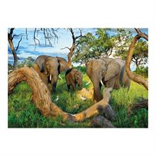 Dino Puzle 1000 Parça Botswana Filleri Puzzle