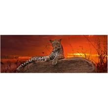 Heye 2000 Parça Red Dawn Panorama Puzzle