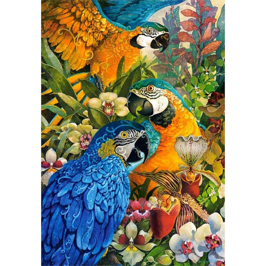 Castorland 1000 Parça Amazon Puzzle