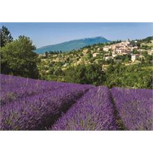 Jumbo 500 Parça Provence Aurel Puzzle