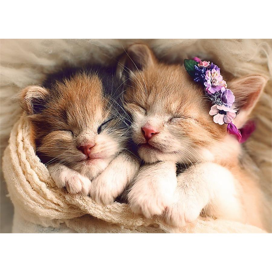 Trefl Uyuyan Kedi Yavruları 500 Parça Puzzle