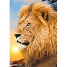 Trefl 500 Parça Aslan Puzzle (37191)