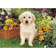 Trefl 500 Parça Puzzle : Bahçede Labrador Köpek Yavrusu