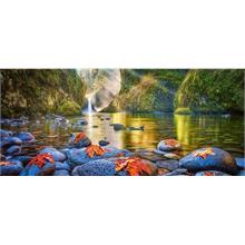Castorland Huzurlu Sabahlar 600 Parça Panorama Puzzle
