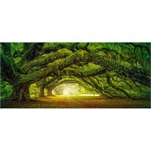 Castorland 600 Parça Geçit Puzzle