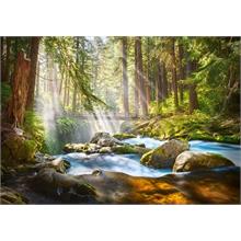 Castorland 500 Parça Forest Stream of Light Puzzle