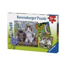 Ravensburger 3x49 Parça Kedi Yavruları Puzzle