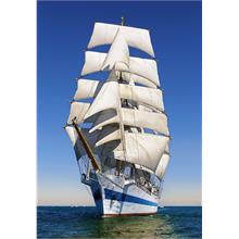 Castorland 104239 Yelkenli Gemi 1000 Parçalık Puzzle