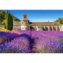 Castorland Provence de Lavanta Tarlası 1000 Parça Puzzle