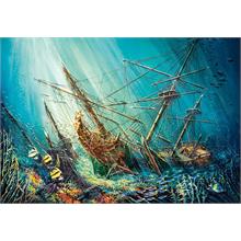 Castorland 1000 Parça Okyanus Hazinesi Puzzle