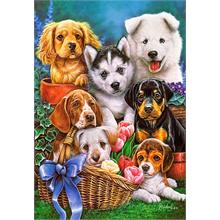 Castorland Sevimli Yavru Köpekler 1000 Parça Puzzle - 104048