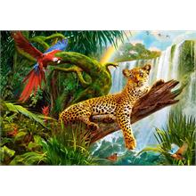 Castorland Puzzle - Dinlenen Leopar ve Renkli Papağan - 1000 Parça