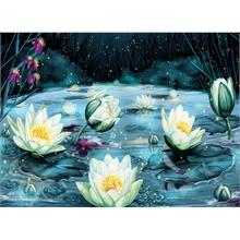 Nova Puzzle 1000 Parça Yıldızlı Gecede Lotus Çiçekleri 