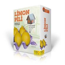 Limon Pili Eğitim Seti (Doğadaki Gizli Enerjiyi Keşfet)