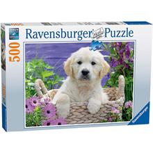 Ravensburger 500 Parça Golden Retriever Puzzle