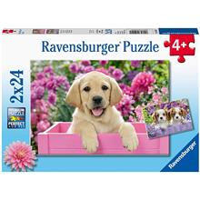 Ravensburger 2x24 Parça Sevimli Köpek Yavruları Çocuk Yapboz