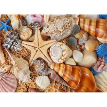 Nova Puzzle Kumsaldan Bana Kalanlar 1000 Parça Puzzle