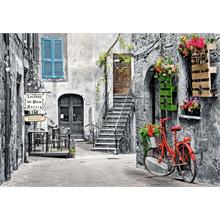 Castorland 500 Parça Kırmızı Bisikletli Büyüleyici Sokak Puzzle