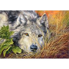 Castorland 500 Parça Saf Bakışlar Puzzle