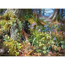 Castorland 2000 Parça From Rusland Woods Puzzle