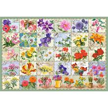 Castorland 1000 Parça Antik Çiçek Kolajı Puzzle