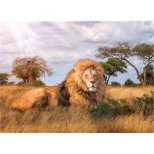 Clementoni 1000 Parça Kral (Aslan) Puzzle