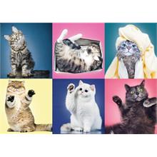 Trefl 500 Parça Kedi Yavruları Puzzle