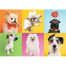 Trefl 500 Parça Renkli Yavru Köpekler Puzzle