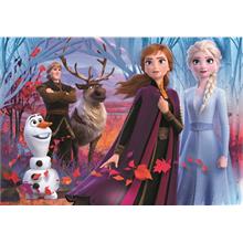 Clementoni 104 Parça Frozen Kız Çocuk Puzzle