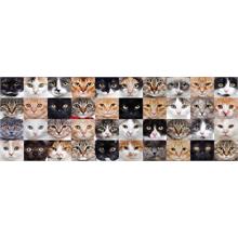 Nova Puzzle 1000 Parça Sevimli Kediler Kolajı Panorama Puzzle