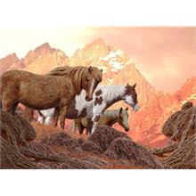 Nova 1000 Parça Puzzle - Vahşi Atlar