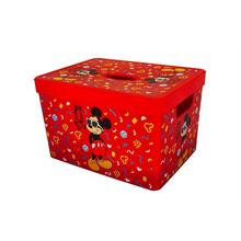 Lisanslı Desenli Kutu Gözlüklü Mickey Mouse