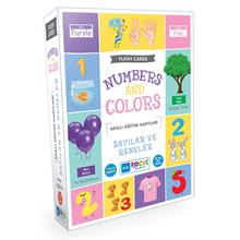 Blue Focus Sayılar ve Renkler Numbers And Colors - Flash Cards