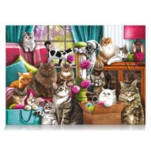 Star Puzzle 1000 Parça Kedi Evi Puzzle