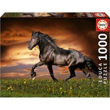 Educa Puzzle 19555 - 1000 Parça Koşu Atı Puzzle - Trotting Horse