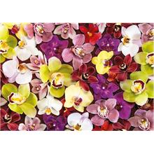 Educa 1000 Parça Orkide Çiçek Kolajı - Orchid Collage - 19558