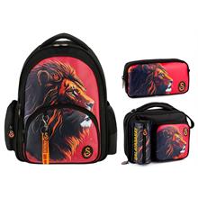 Galatasaray Erkek Çocuk Suni Deri Üzerine Aslan Baskılı Üçlü İlkokul Çanta Seti - SETME25560A